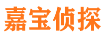 灵台寻人公司